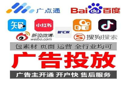某某SEM服务公司成功案例：从数据出发的营销策略
